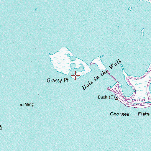 Topographic Map of Grassy Point, FL
