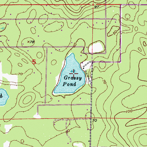 Topographic Map of Grassy Pond, FL