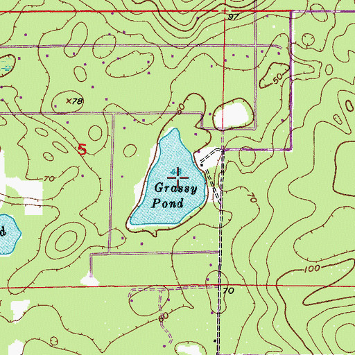Topographic Map of Grassy Pond, FL