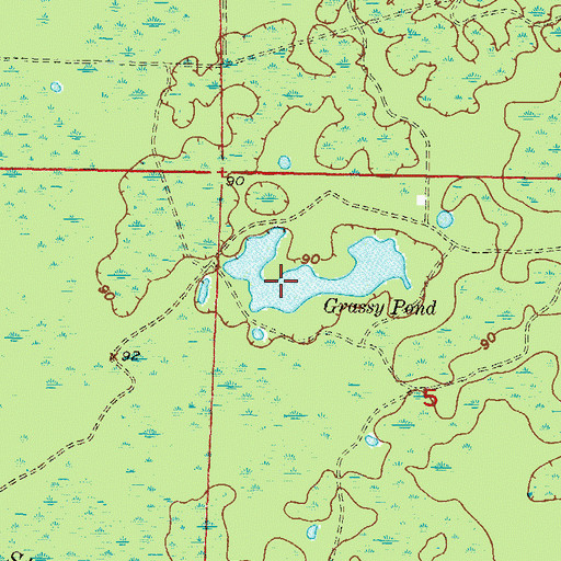 Topographic Map of Grassy Pond, FL