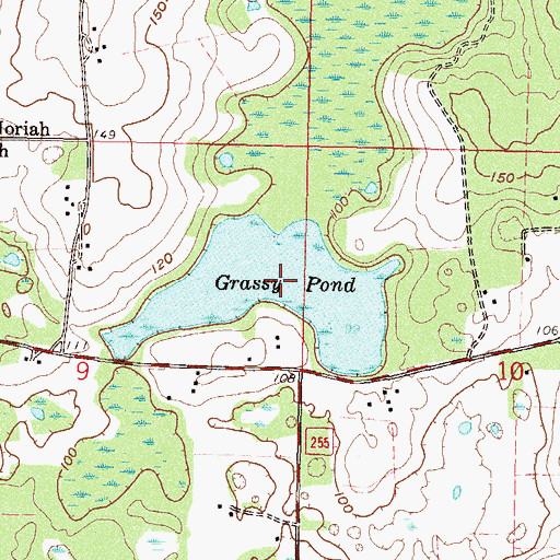Topographic Map of Grassy Pond, FL