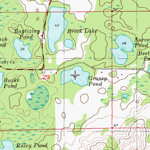 Topographic Map of Grassy Pond, FL