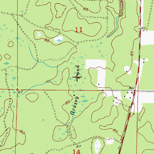 Topographic Map of Grassy Pond, FL