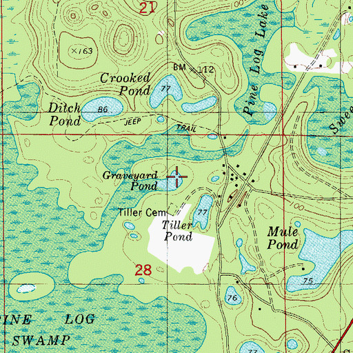 Topographic Map of Graveyard Pond, FL