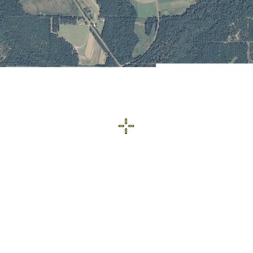 Aerial/Satellite Image of Green Branch, FL