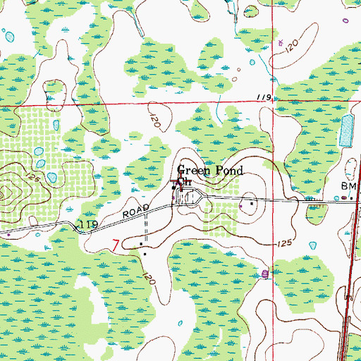 Topographic Map of Green Pond Church, FL