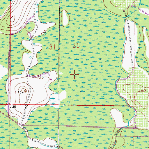 Topographic Map of Green Swamp, FL