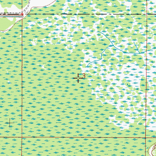 Topographic Map of Green Swamp Run, FL