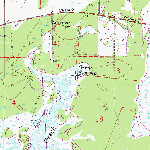 Topographic Map of Greys Swamp, FL
