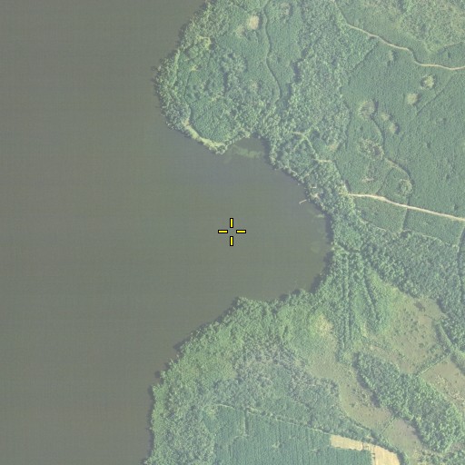 Aerial/Satellite Image of Grimsley Cove, FL