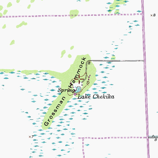 Topographic Map of Grossman Hammock, FL