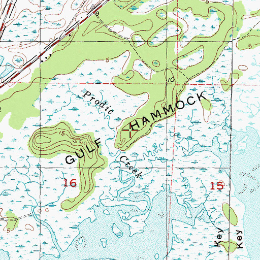 Topographic Map of Gulf Hammock, FL
