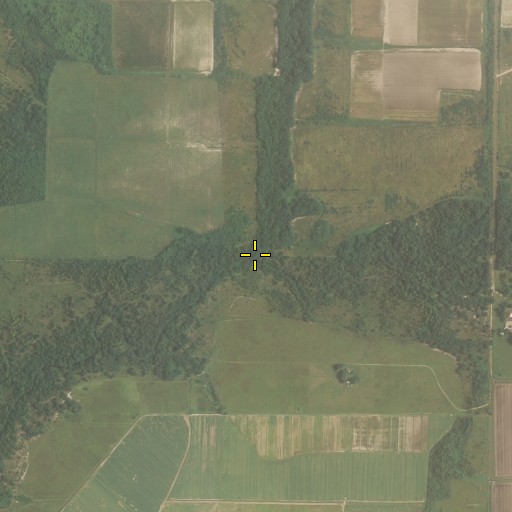 Aerial/Satellite Image of Gully Branch, FL