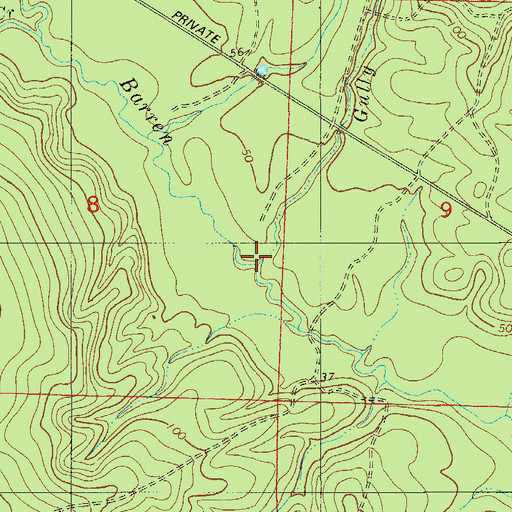 Topographic Map of Gully Branch, FL