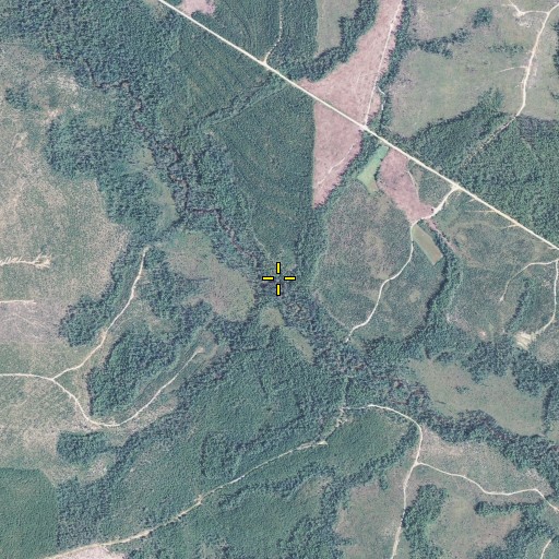 Aerial/Satellite Image of Gully Branch, FL