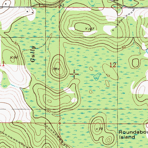 Topographic Map of Gully Creek, FL