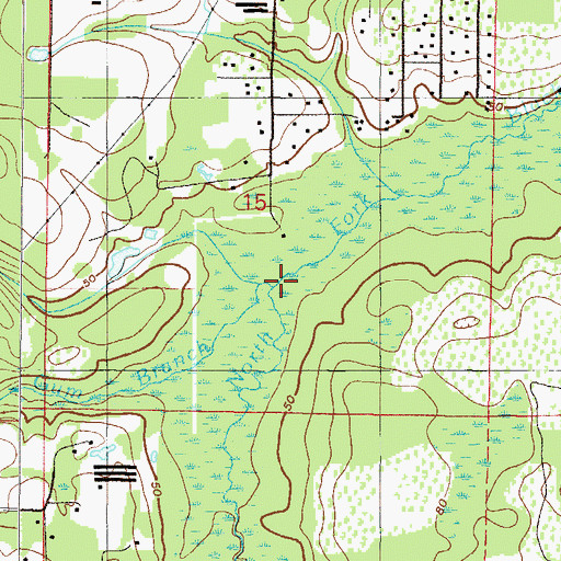 Topographic Map of Gum Branch, FL