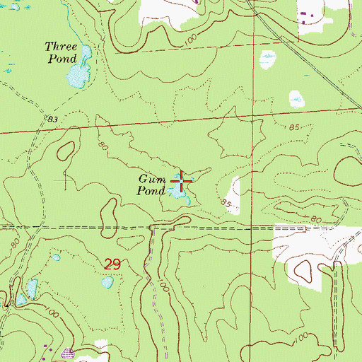 Topographic Map of Gum Pond, FL