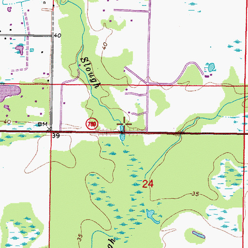 Topographic Map of Gum Slough, FL