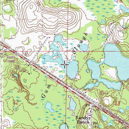 Topographic Map of Gum Slough, FL