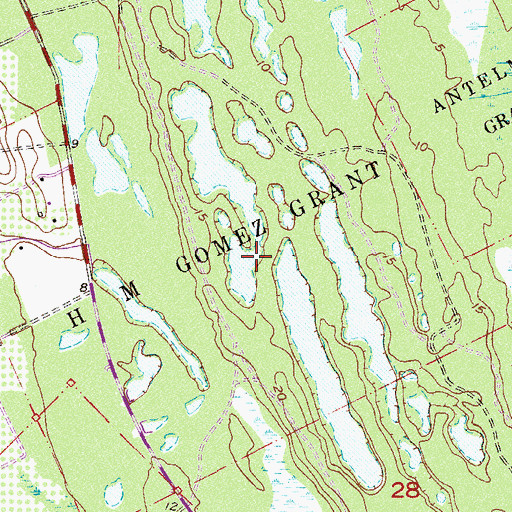 Topographic Map of H M Gomez Grant, FL