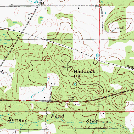 Topographic Map of Haddock Hill, FL