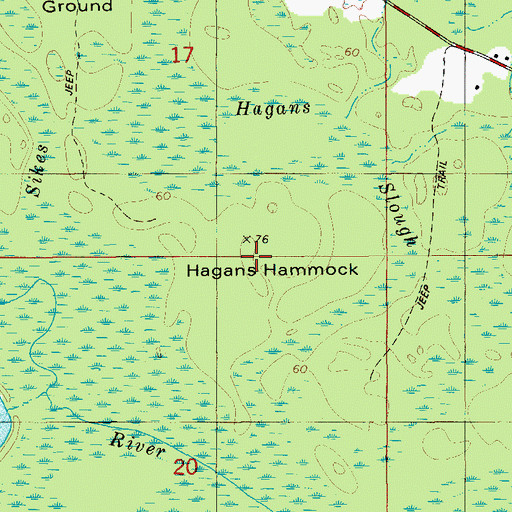 Topographic Map of Hagans Hammock, FL
