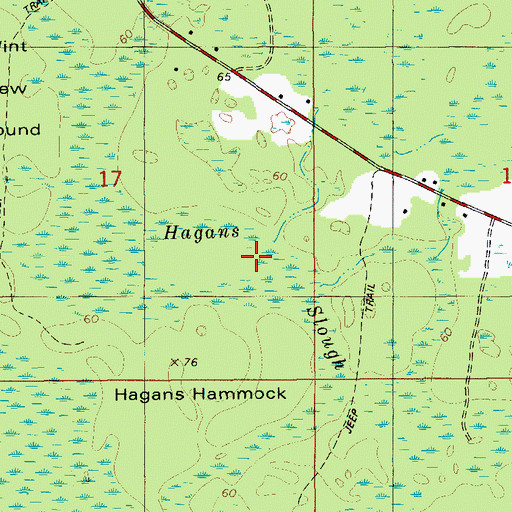 Topographic Map of Hagans Slough, FL