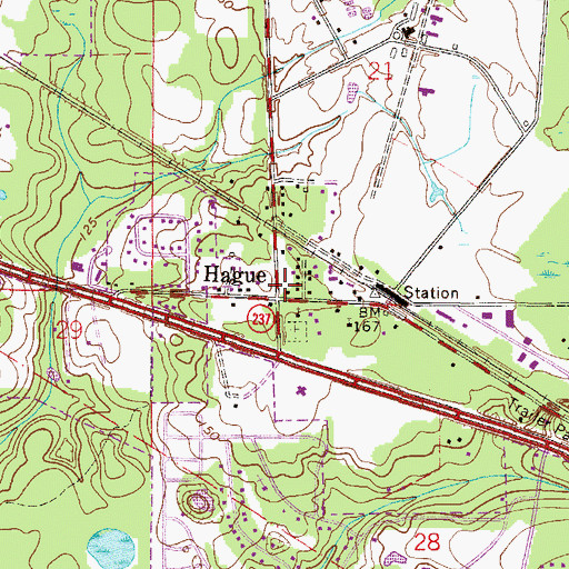 Topographic Map of Hague, FL