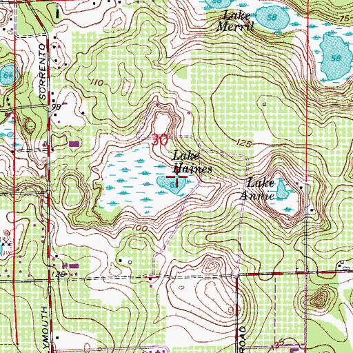Topographic Map of Lake Haines, FL