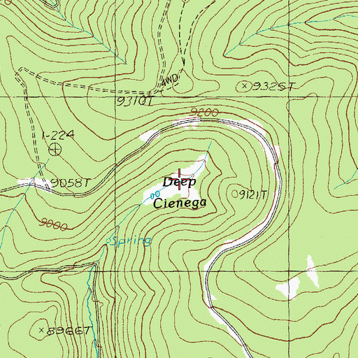 Topographic Map of Deep Cienega, AZ