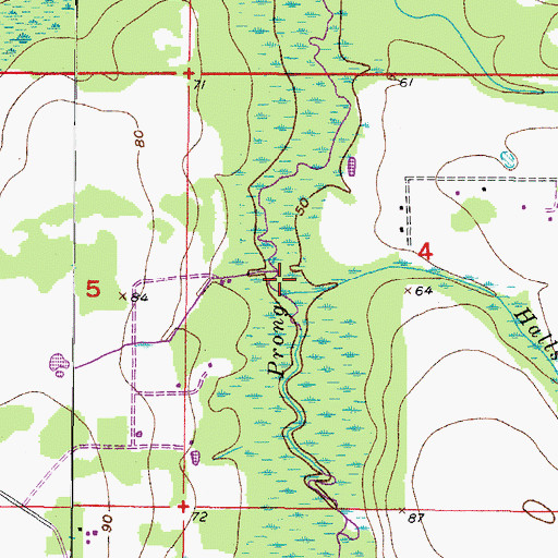 Topographic Map of Halls Branch, FL