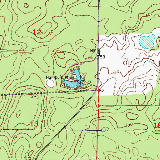 Topographic Map of Hamburg Mine, FL