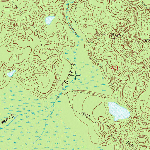 Topographic Map of Hammock Branch, FL