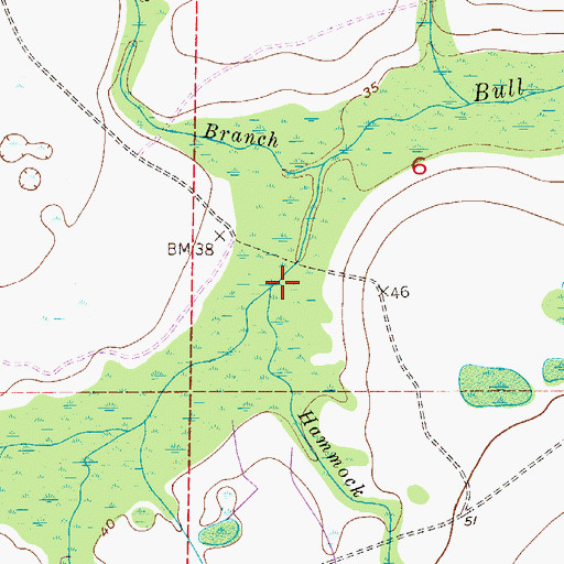 Topographic Map of Hammock Branch, FL
