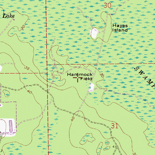 Topographic Map of Hammock Field, FL