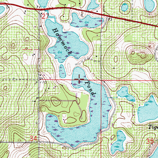 Topographic Map of Hammock Pond, FL