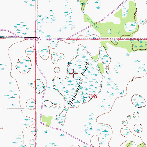 Topographic Map of Hammock Pond (historical), FL