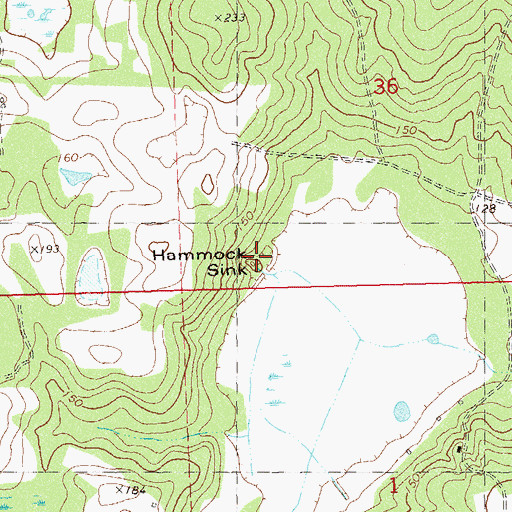 Topographic Map of Hammock Sink, FL