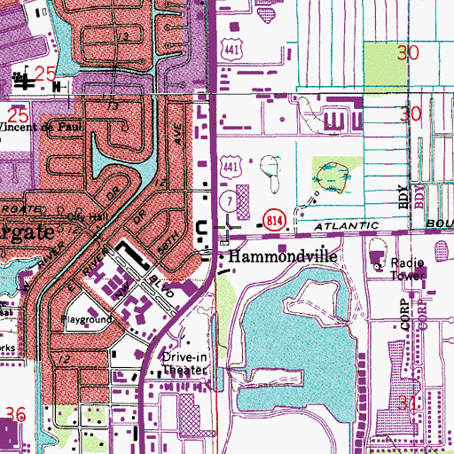 Topographic Map of Hammondville, FL