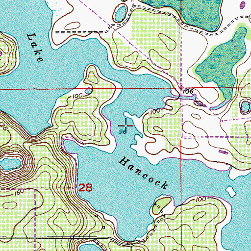 Topographic Map of Lake Hancock, FL
