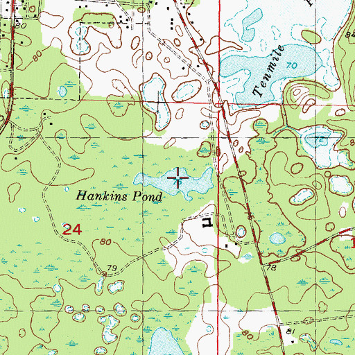 Topographic Map of Hankins Pond, FL
