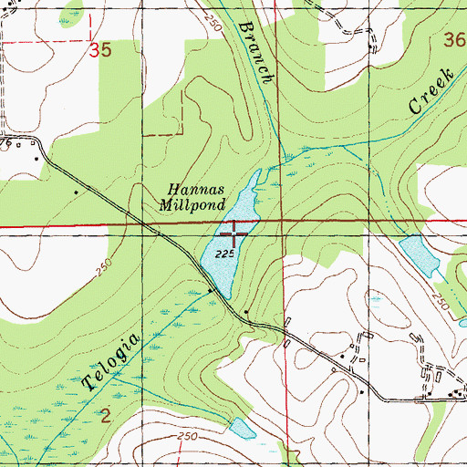 Topographic Map of Hannas Millpond, FL