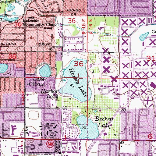 Topographic Map of Harbor Lake, FL