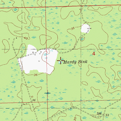 Topographic Map of Hardy Sink, FL