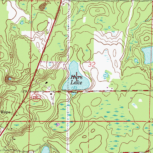 Topographic Map of Hare Lake, FL