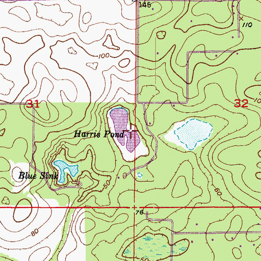 Topographic Map of Harris Pond, FL