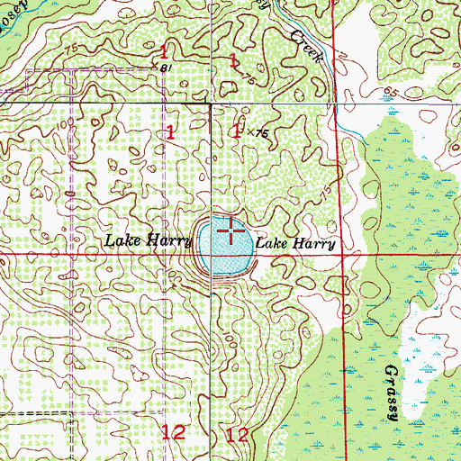 Topographic Map of Lake Harry, FL