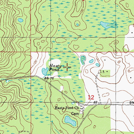 Topographic Map of Hasty Pond, FL