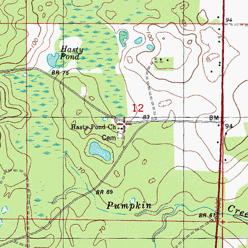 Topographic Map of Hasty Pond Church, FL